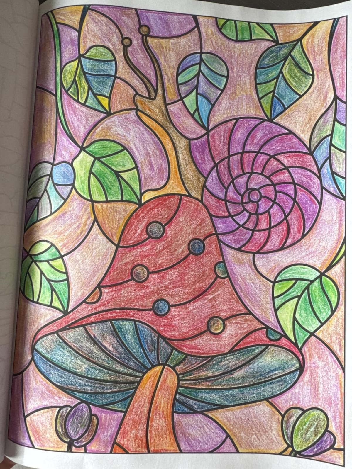 Kuchey Rainbow Pencils customer photo 2