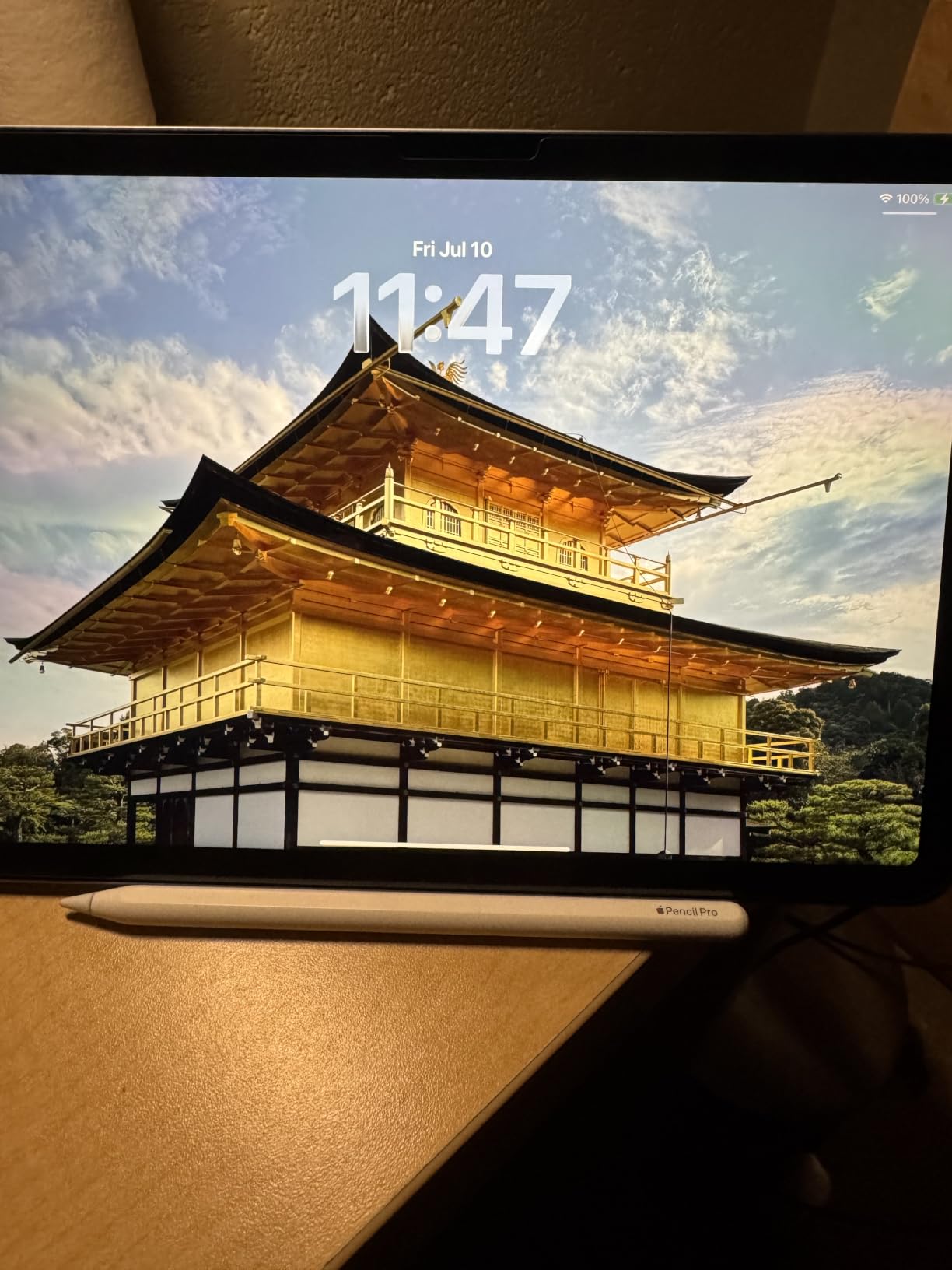 Apple Pencil Pro: Latest Model - Device Compatibility Check Required customer photo 1