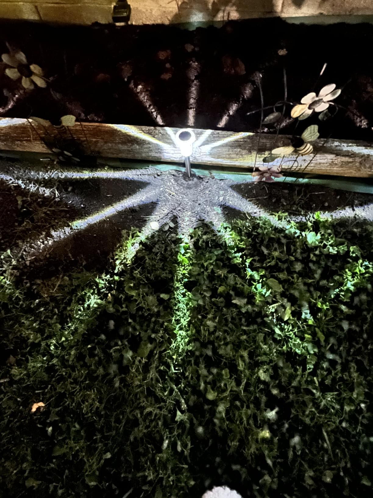 DenicMic Solar Path Lights customer photo 1