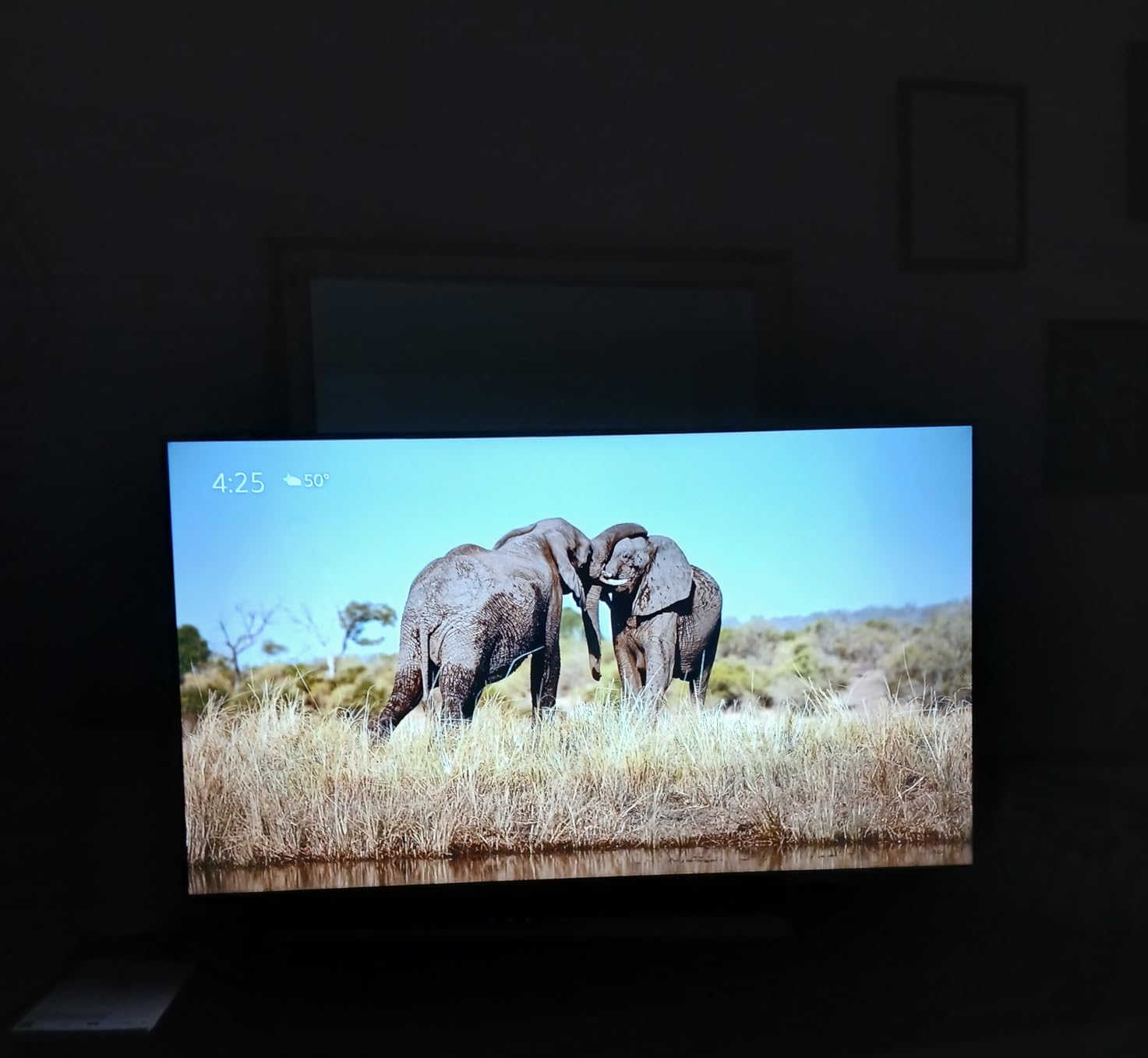 Ember 43 4-Series customer photo 2