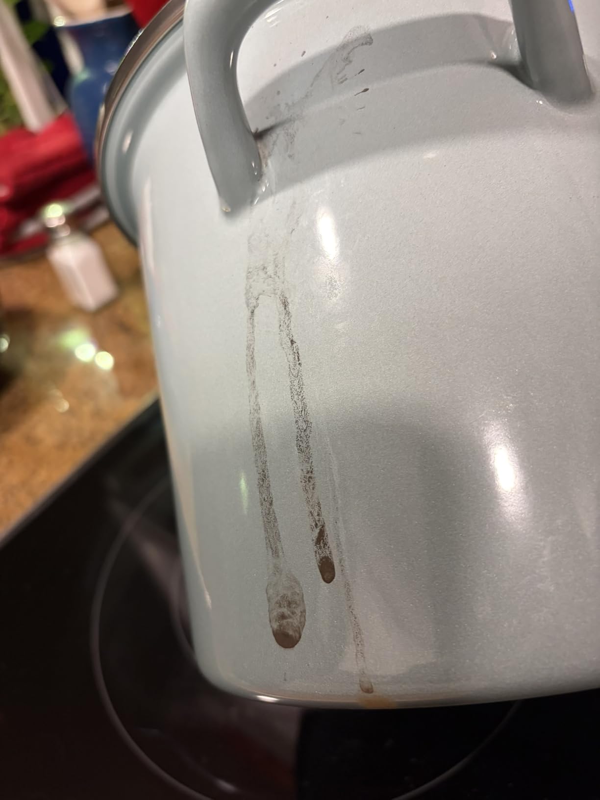 Le Creuset Traditional Stockpot customer photo 1