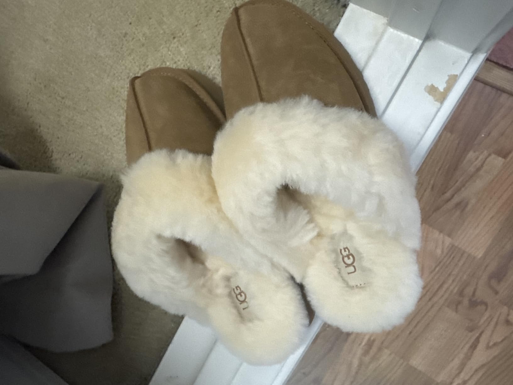 UGG Women's Disquette customer photo 2