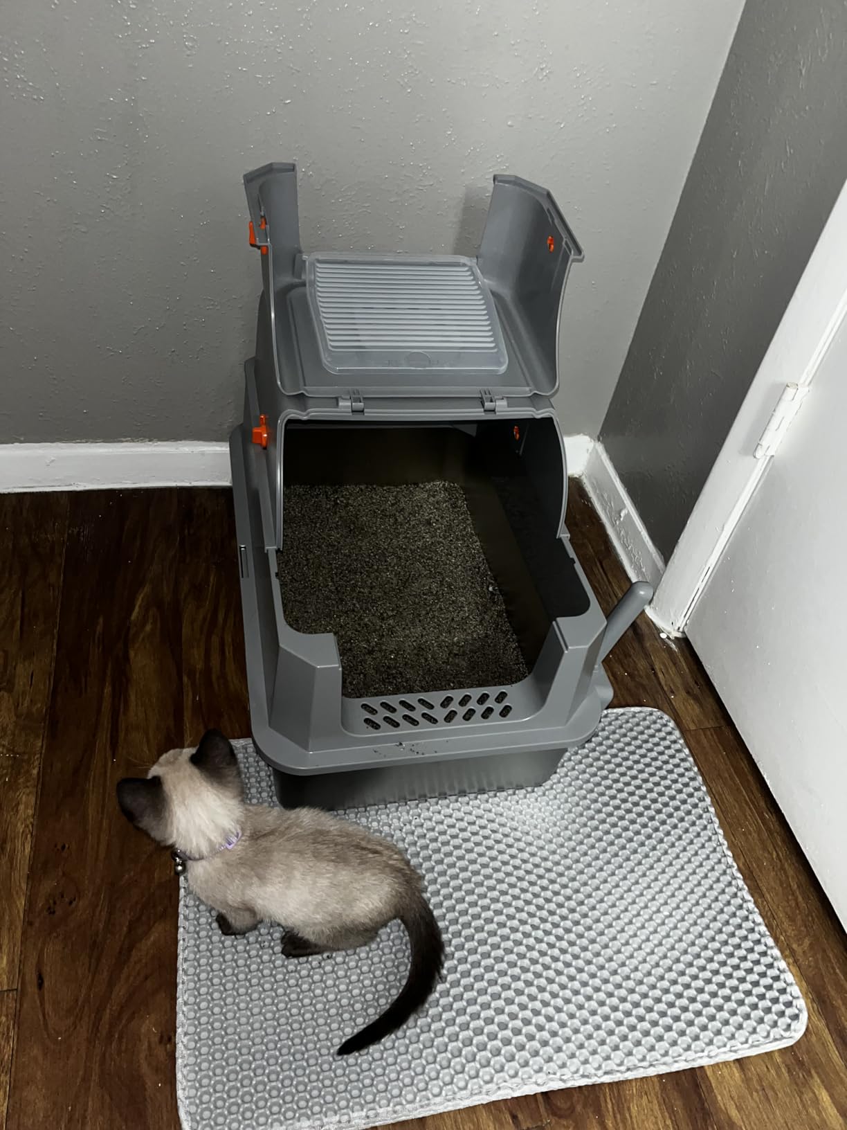 Automatic Cat Litter Box, Self Cleaning, Open-Top, Safety Sensors, Toilet customer photo 1