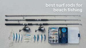 best surf rods for beach fishing